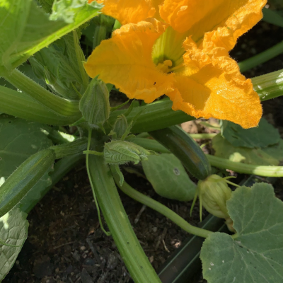 Cabaz&#x20;da&#x20;Semana&#x20;&#x7C;&#x20;SUBSCRI&#x00C7;&#x00C3;O