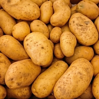 Batata&#x20;Branca