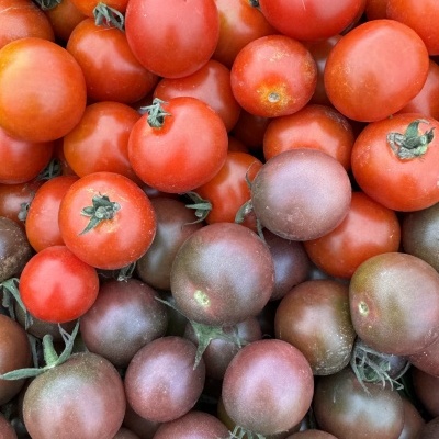 Tomates pequenos vermelhos e roxos com pedúnculo verde em textura lisa