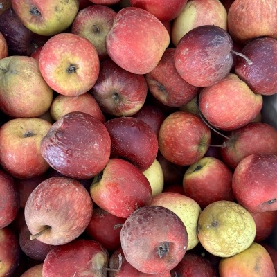 Ma&#x00E7;&#x00E3;&#x20;Story