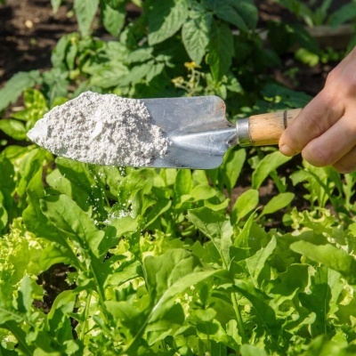 Terra&#x20;Diatom&#x00E1;ceas&#x20;Micronizada