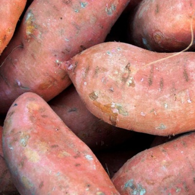 Batatas-doces com casca rosada e textura irregular