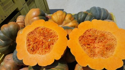 Abóbora cortada ao meio mostrando interior laranja e textura fibrosa, sobre abóboras inteiras em caixa amarela.