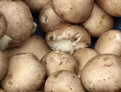 Cogumelos marrons frescos num cesto azul