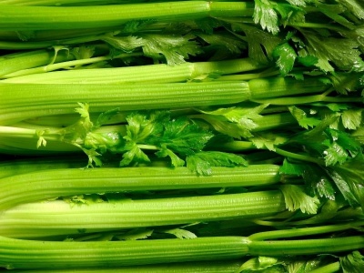 Talos frescos de aipo verde com folhas e caules alinhados