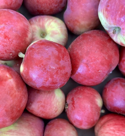 Frutos vermelhos com superfícies lisas e tonalidades de amarelo