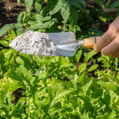 Pazinha com fertilizante em pó sobre plantas verdes num jardim