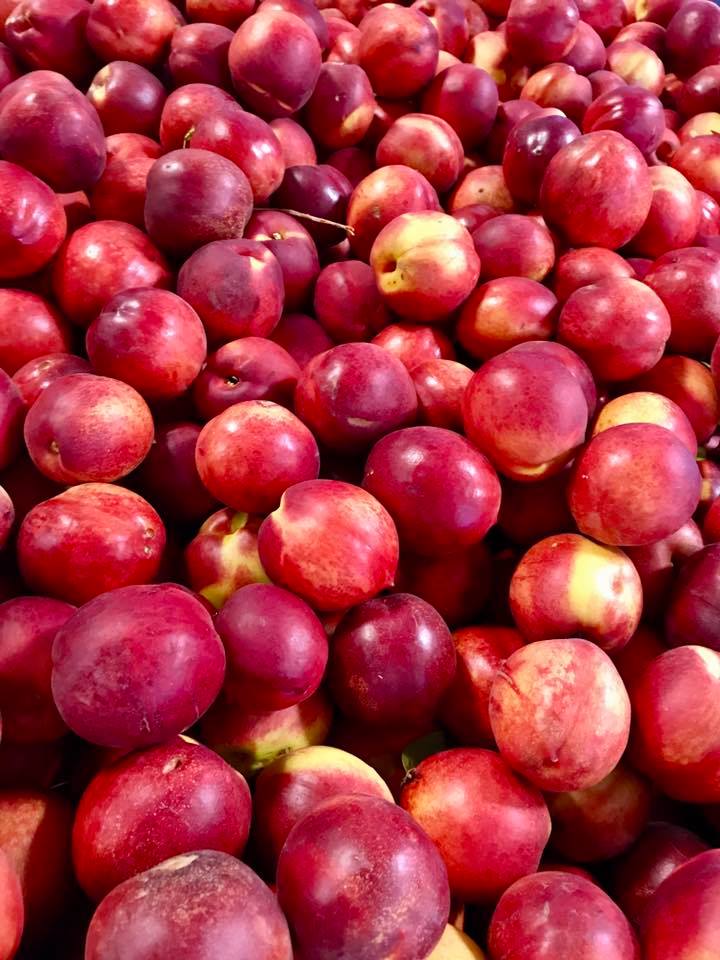 Nectarinas (caixa pequena) Ameixas vermelhas com manchas amarelas empilhadas