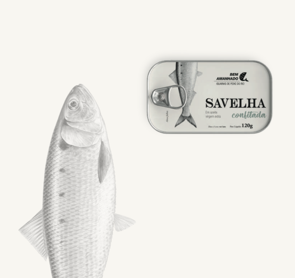 Savelha confitada Lata de conserva de savelha em azeite com alho e ilustração de peixe