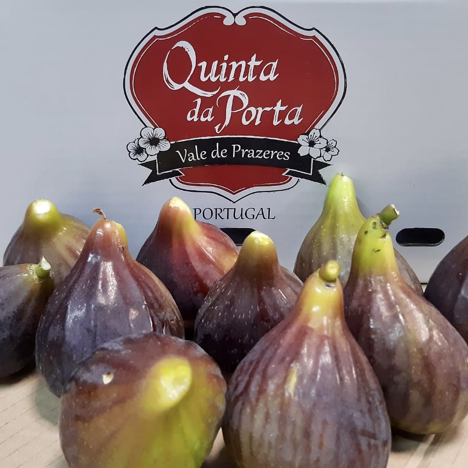 6 FIGOS Vários figos frescos com caixa da Quinta da Porta