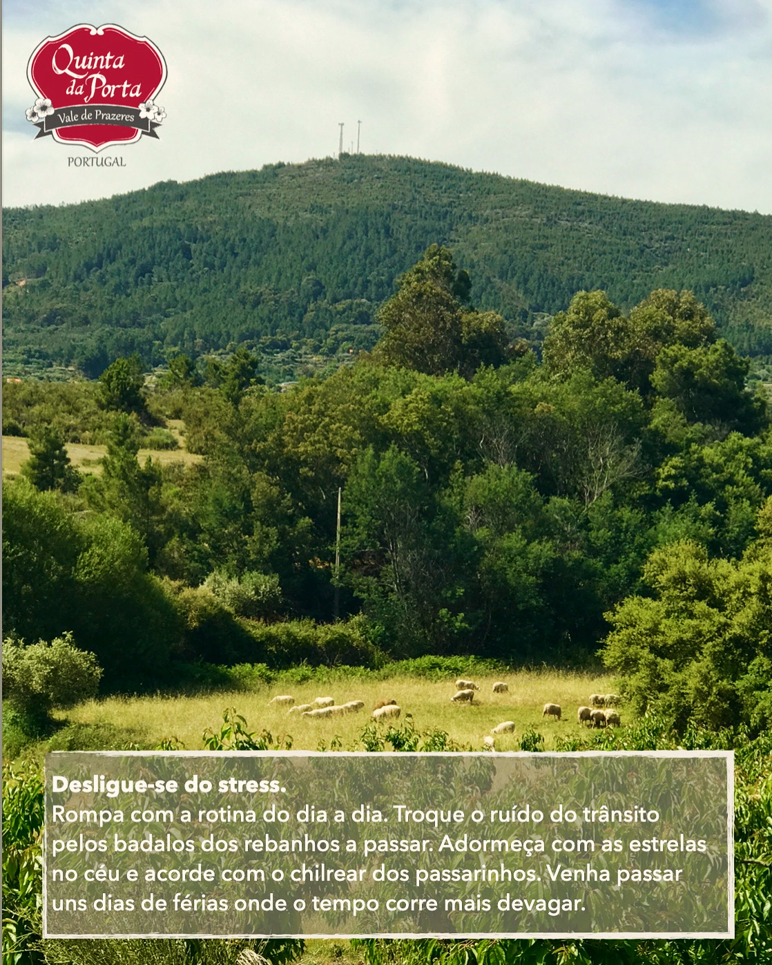 Fim de semana na montanha Paisagem natural com colinas, árvores e rebanho de ovelhas, logótipo 'Quinta da Porta' e texto em português.
