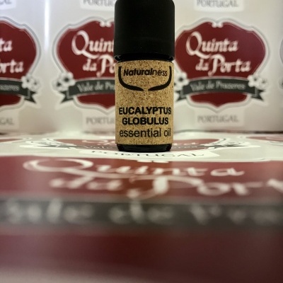 https://www.lojadaquinta.com/product/oleo-essencial-de-eucalipto-5ml