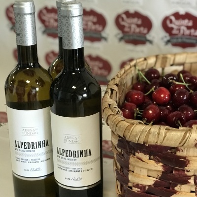 Garrafa de vinho Alpedrinha junto a cesto com cerejas vermelhas