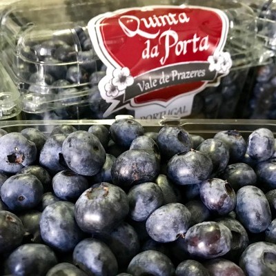 Recipientes com mirtilos frescos com etiqueta Quinta da Porta Vale de Prazeres