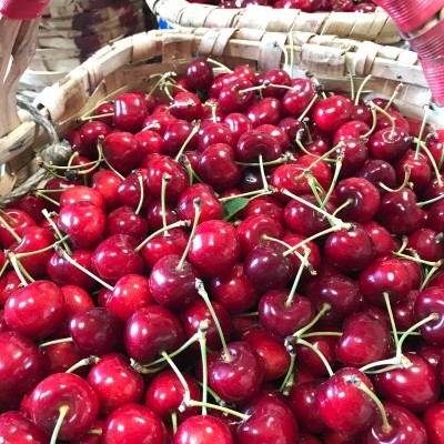 Cestas de vime com cerejas vermelhas frescas