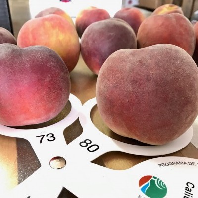 Pêssegos rosas e vermelhos em suporte branco com números e papel com texto num ambiente de avaliação.