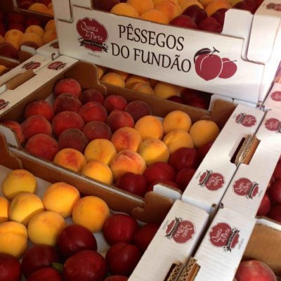 Caixas de pêssegos amarelos e vermelhos com marca Quinta da Porta e texto PÊSSEGOS DO FUNDÃO