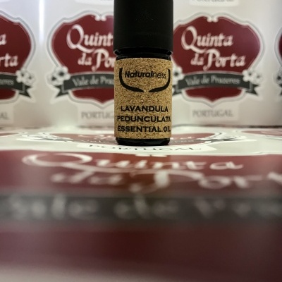 https://www.lojadaquinta.com/product/oleo-essencial-de-rosmaninho-5ml