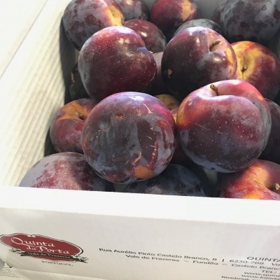 Ameixas roxas em embalagem de cartão branco da Quinta da Porta