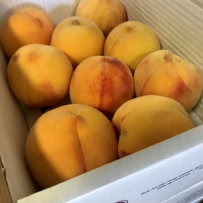 Nove pêssegos amarelos com manchas avermelhadas numa caixa de cartão branca