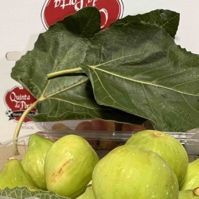 Figos verdes em embalagem de plástico com folhas ao fundo e etiqueta vermelha e branca.