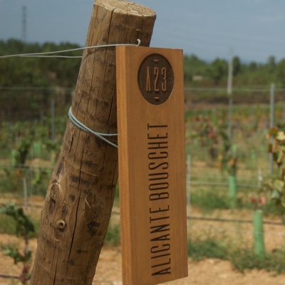 Placa de madeira gravada com texto 'ALICANTE BOUSCHET' presa a um poste de madeira na vinha