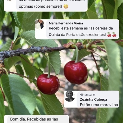 Duas cerejas vermelhas penduradas num ramo com folhas verdes, com mensagens de clientes em texto sobre a imagem