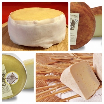 Diferentes tipos de queijos com etiquetas e embalagem em fundo de madeira e pano.