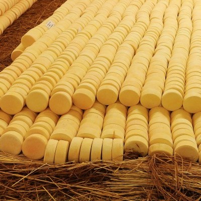 Queijos redondos amarelos organizados sobre palha