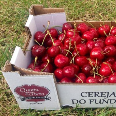 Caixa de cartão com cerejas vermelhas frescas