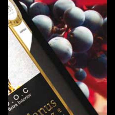 Garrafa de vinho tinto Fundanus Prestige com uvas azuis escuras ao fundo sobre tecido vermelho