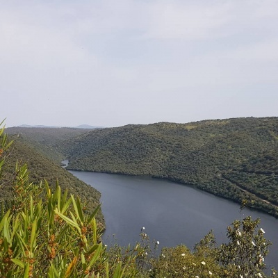 Rio sinuoso entre colinas verdes com vegetação densa e céu claro