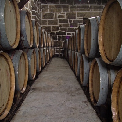 Pipas de madeira empilhadas numa adega com paredes de pedra