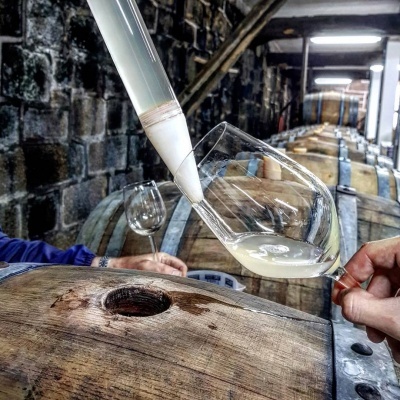 Taça a ser enchida com líquido branco em adega com barris de madeira.