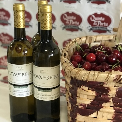 https://www.lojadaquinta.com/product/cova-da-beira-branco