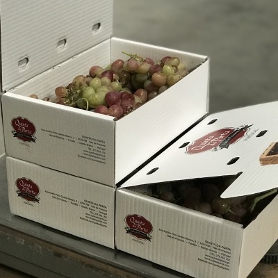 https://www.lojadaquinta.com/product/caixa-de-uvas