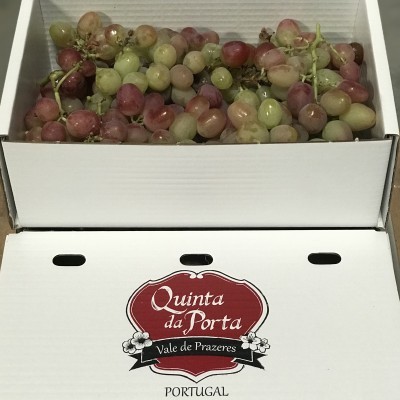 Caixa de uvas verdes e vermelhas da Quinta da Porta com etiqueta visível