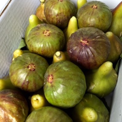 Caixa com figos verdes e roxos frescos