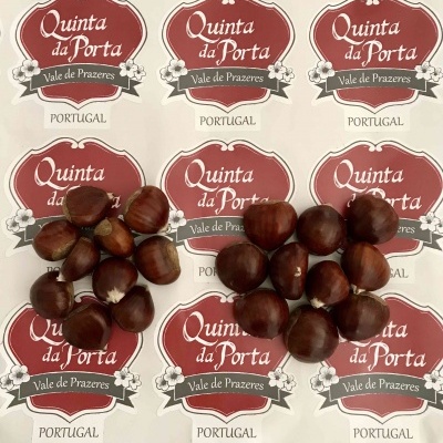 castanhas sobre etiquetas Quinta da Porta em papel branco