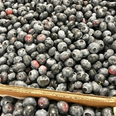 Caixa de mirtilos frescos azul-escuros com algumas manchas avermelhadas