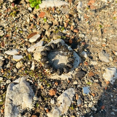 Pulseira preta de contas sobre chão de terra e pedras