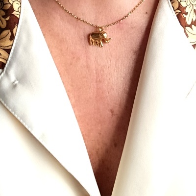 Colar dourado com pendente de elefante e camisa branca com gola estampada