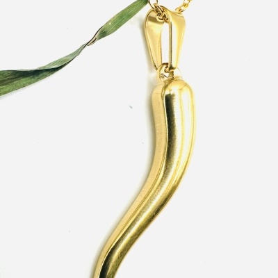 Colar dourado com pendente em forma de chifre