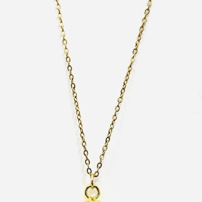 Colar com pendente oval de pedra castanha escura e corrente dourada