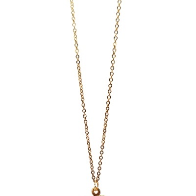 Colar dourado com pendente de elefante