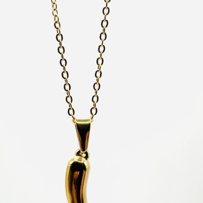 Colar dourado com pendente em forma de chifre