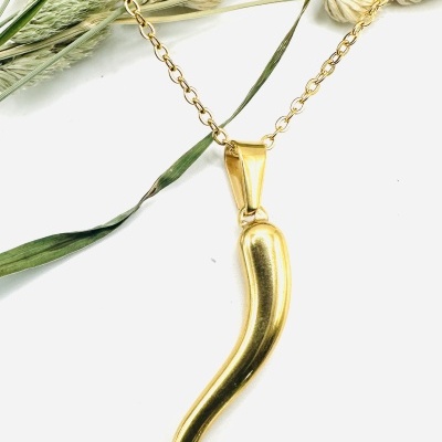 Colar dourado com pendente curvo e plantas secas