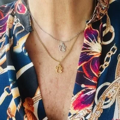 Dois colares com pendentes de pássaros em pescoço, camisa colorida ornamental