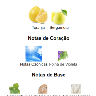 Notas de fragrância divididas em topo, coração e base com imagens das plantas e ingredientes correspondentes