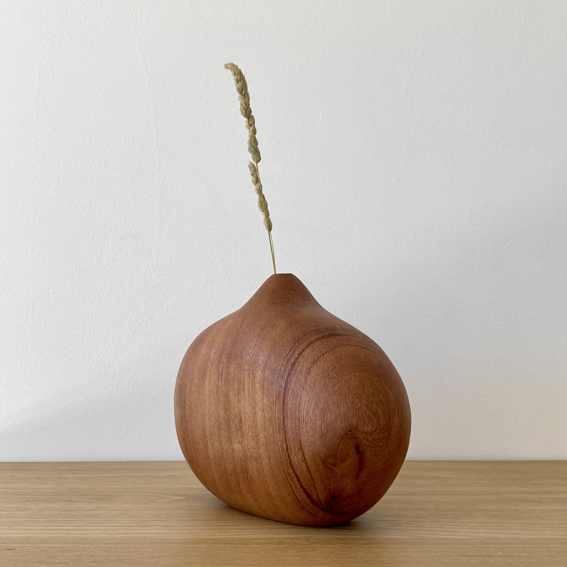 JARRA EM MADEIRA DE MOGNO Vaso de madeira arredondado com uma haste seca em fundo branco